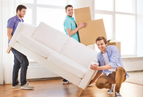 Household furniture transport and moving support